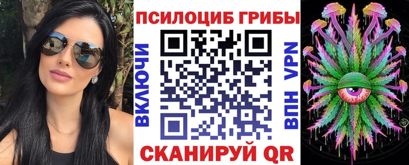закладки  Рязань  Псилоцибиновые грибы мицелий 